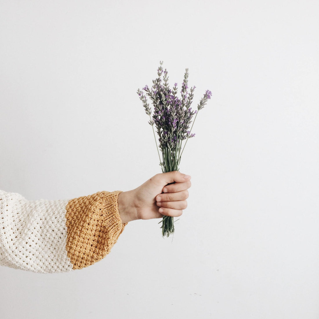 Lavender Flower Oil | Kiss Selfcare