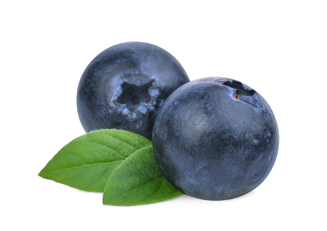Organic Bilberry Extract | Kiss Selfcare