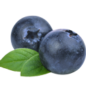 organic bilberry fruit for extract skincare